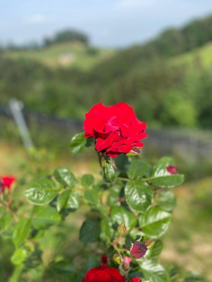 Trautenburg Stub'N ลอยช์ชาค ภายนอก รูปภาพ